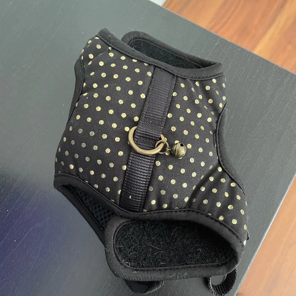 Kitten Harness and Leash Set